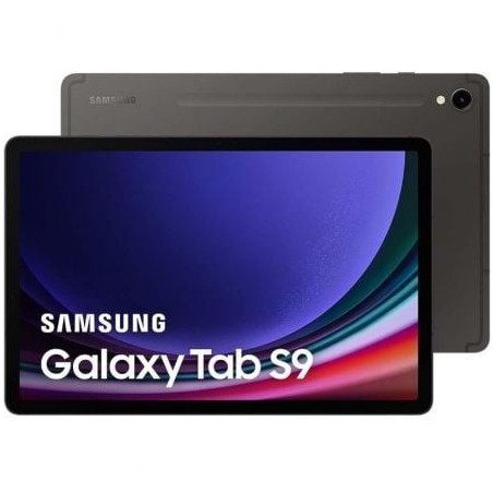 Tablet Samsung Galaxy Tab S9 11'- 12GB- 256GB- Octacore- 5G- Grafito