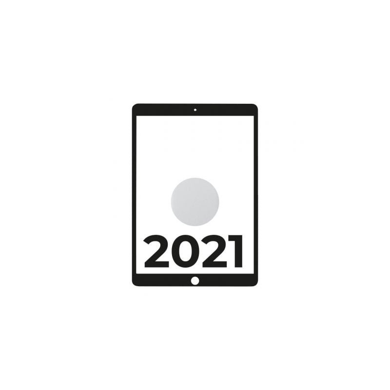 Apple iPad 10.2 2021 9th WiFi- A13 Bionic- 64GB- Plata - MK2L3TY-A