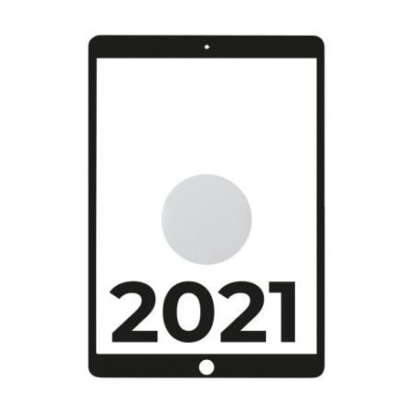 Apple iPad 10.2 2021 9th WiFi- A13 Bionic- 64GB- Plata - MK2L3TY-A