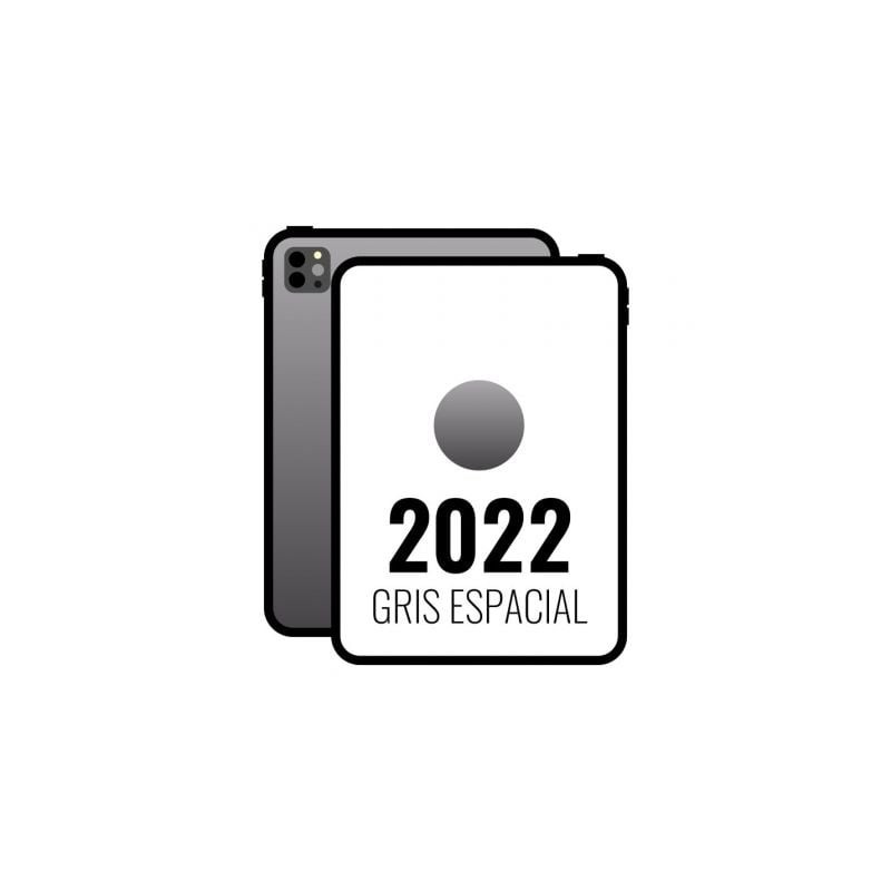 Apple iPad Pro 11' 2022 4th WiFi- M2- 1TB- Gris Espacial - MNXK3TY-A
